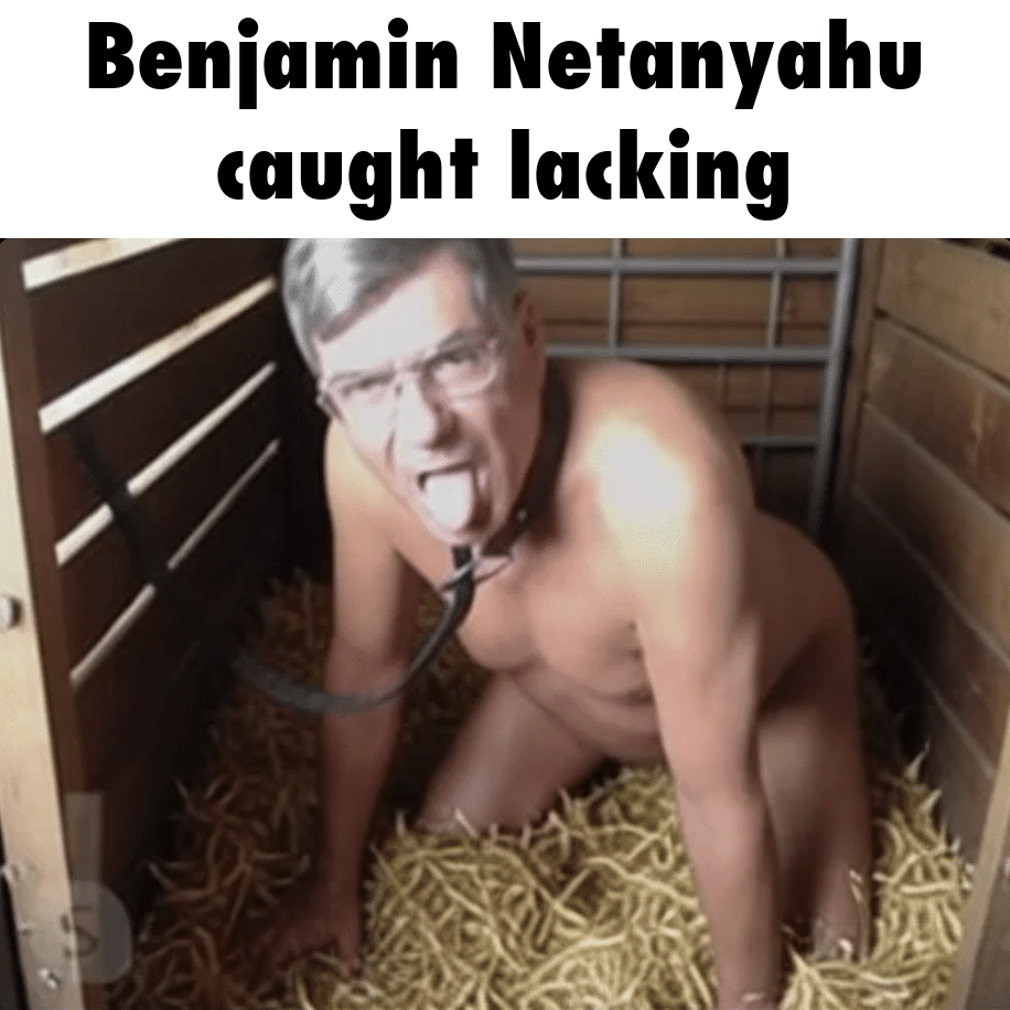 bouncing image 5